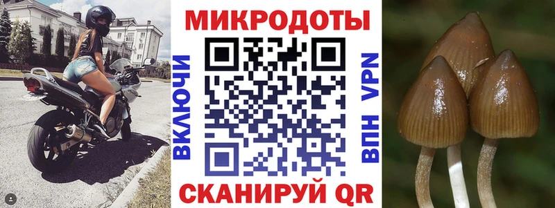Галлюциногенные грибы Psilocybine cubensis  мориарти телеграм  Петропавловск-Камчатский 