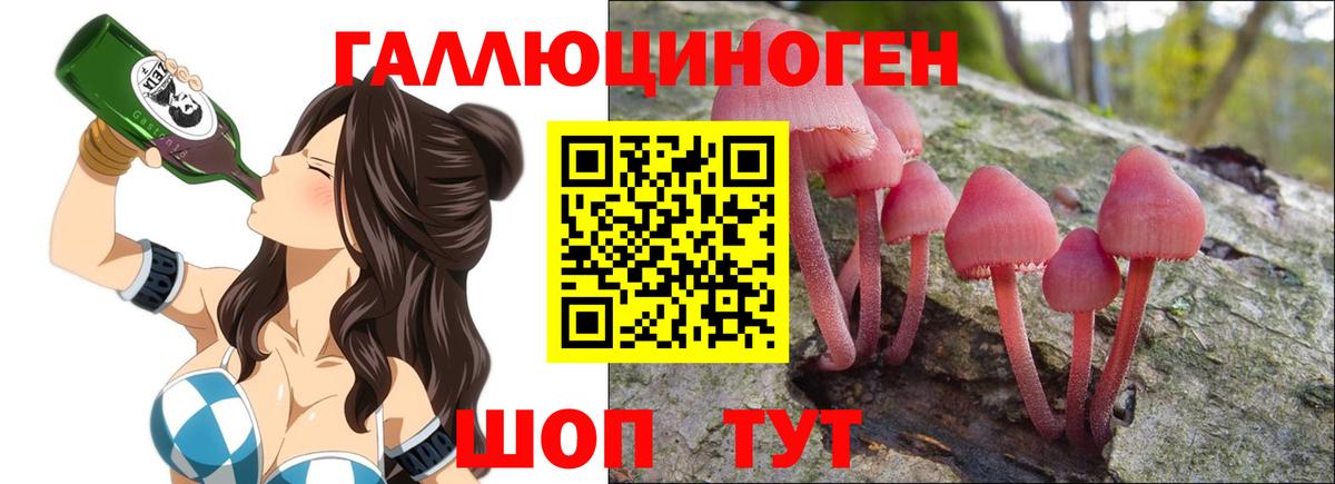 Галлюциногенные грибы прущие грибы  Вход с VPN  Петропавловск-Камчатский 