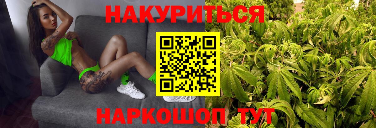 Бошки Шишки план Петропавловск-Камчатский